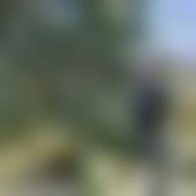 Profilbild eines 45 Jahre alten Manns, 170 cm